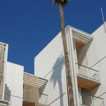 Kora Olea