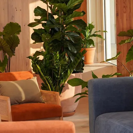 Lejlighedshotel Kora Olea
