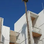 Kora Olea